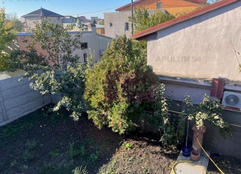 Vila P+1 Chiajna- Rosu.